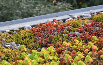the cost of Carnaby green roof installation