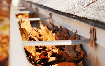 Carnaby gutter cleaning companies