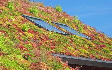 Carnaby living roof systems