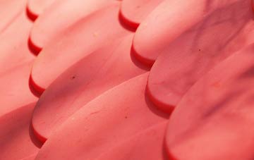 Carnaby plastic roof costs
