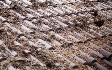 Carnaby roof cleaning companies