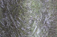 Carnaby fibreglass roof work