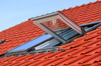 Carnaby roof window