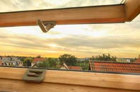 rated Carnaby roof window companies